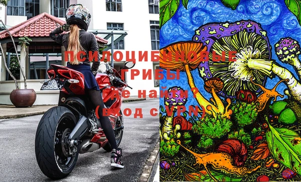 гашик Протвино