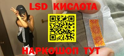 крисы Камышлов