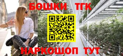 крисы Камышлов