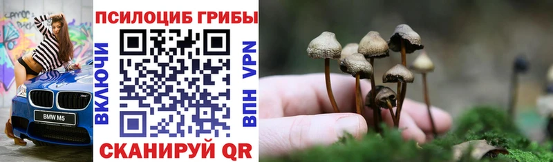 OMG зеркало  Ставрополь  Псилоцибиновые грибы Psilocybe 