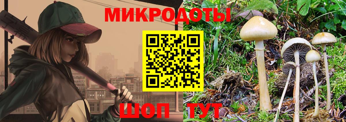 Ставрополь  Галлюциногенные грибы Psilocybine cubensis  Вход с VPN  Галлюциногенные грибы GOLDEN TEACHER 