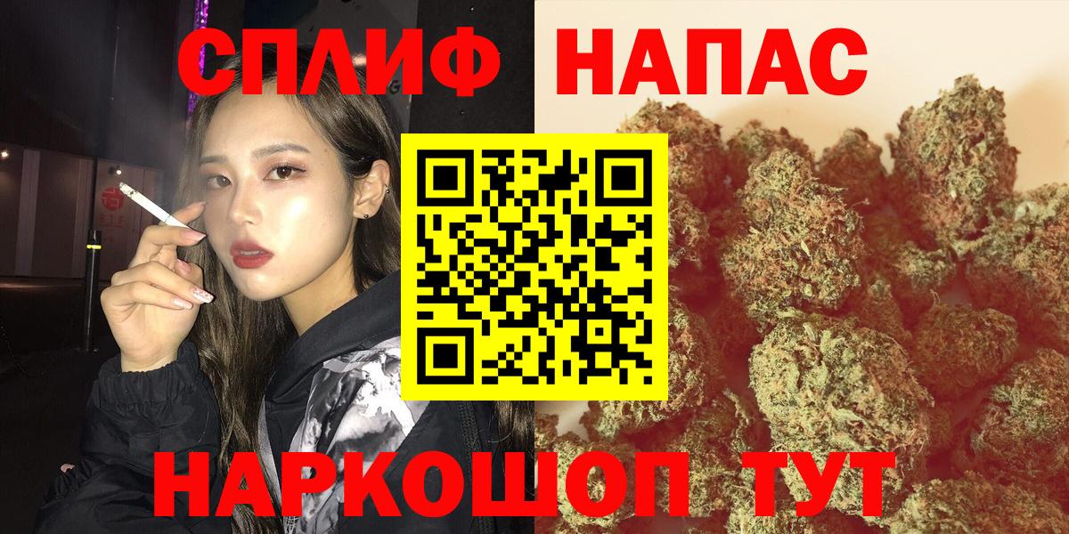 Шишки марихуана White Widow  Канабис план  Вход с VPN  Ставрополь 