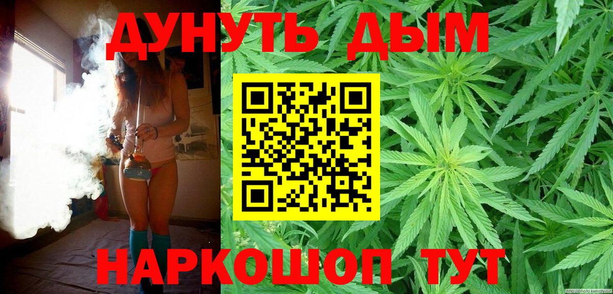 Бошки Шишки планчик Ставрополь